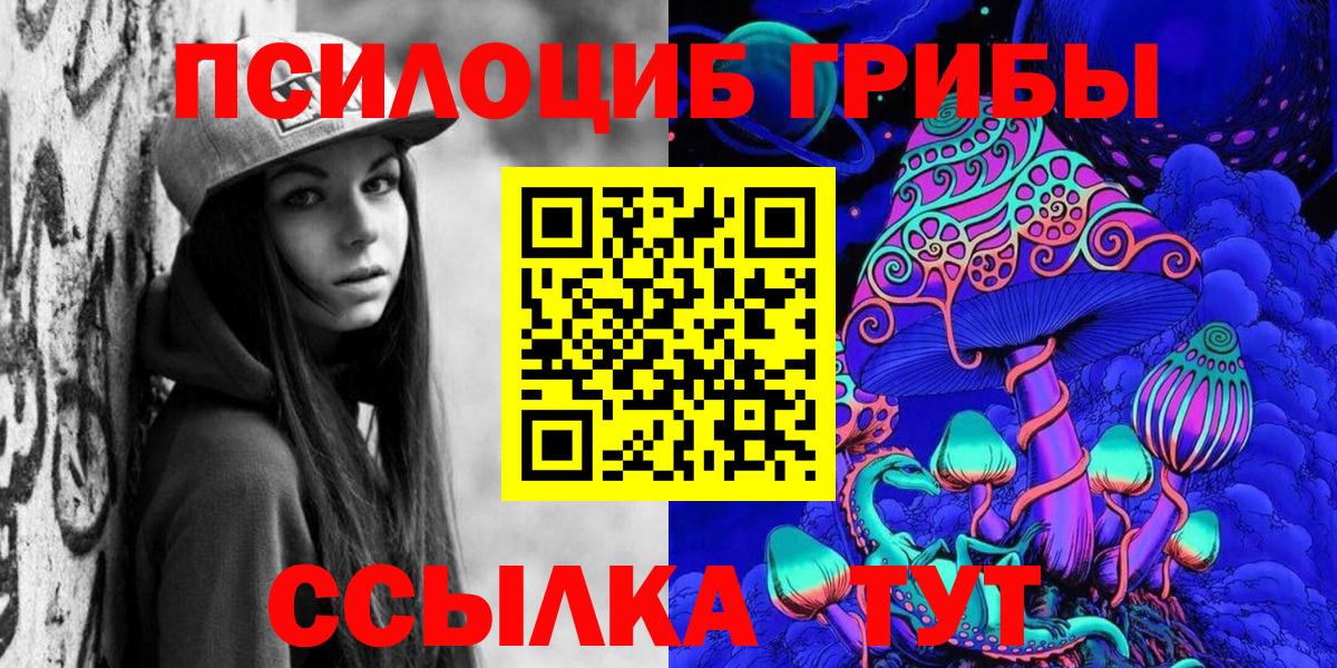Псилоцибиновые грибы Psilocybe Тверь