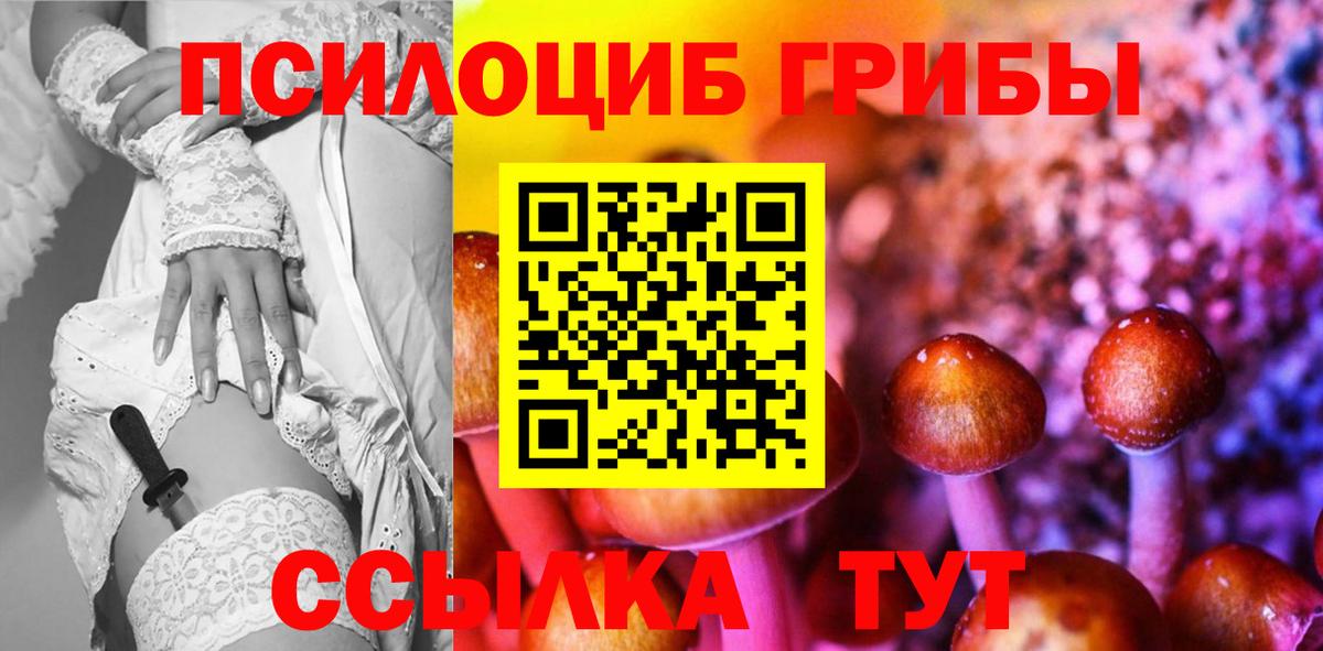 Тверь  как найти наркотики  Вход с VPN  Псилоцибиновые грибы GOLDEN TEACHER 